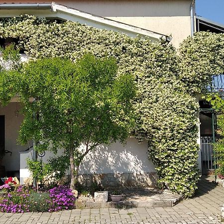 Apartment Sasa Bozac Пореч Экстерьер фото